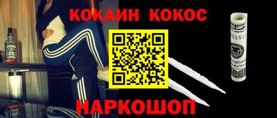 молекула духа Будённовск