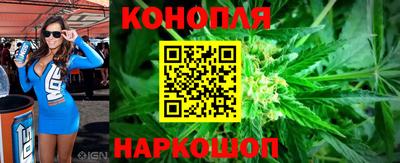 молекула духа Будённовск