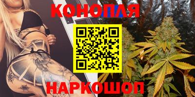 молекула духа Будённовск