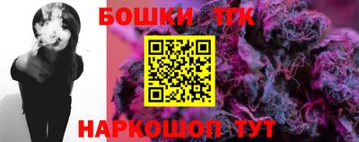 молекула духа Будённовск