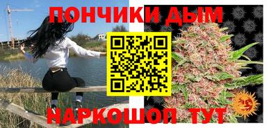 молекула духа Будённовск